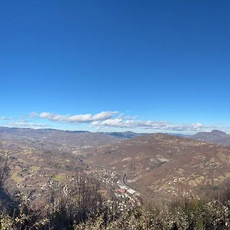 Zia Pia Pavana